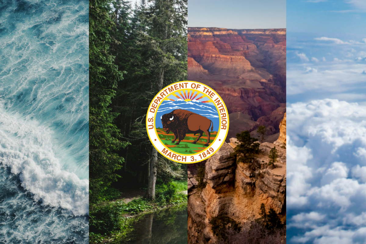 Harnessing AI to Grow a Government Agency’s Workforce thumbnail image